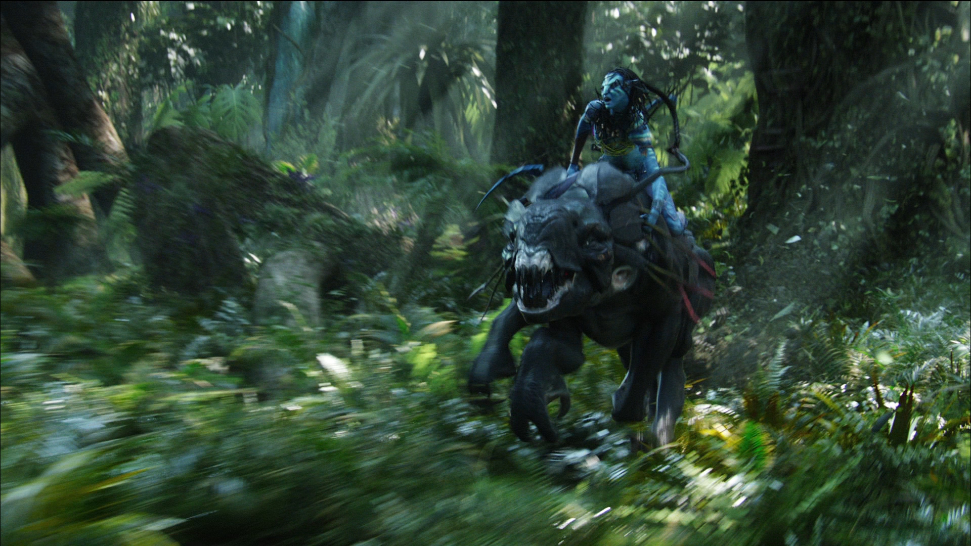 Photo from Avatar Film